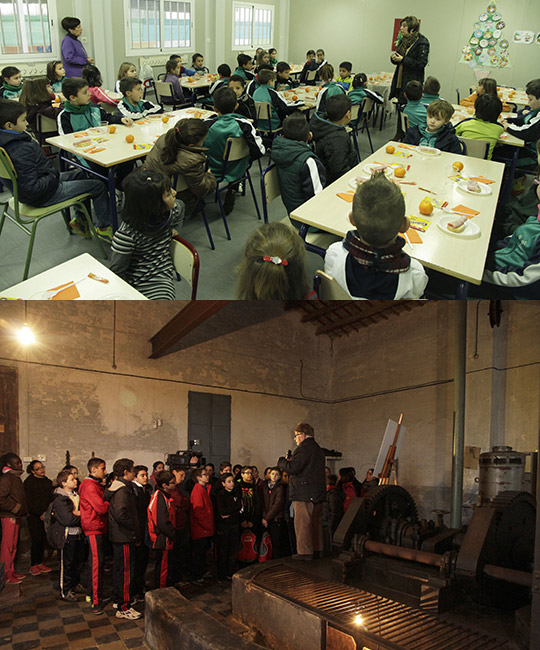 La Festa Clemenules comienza con los desayunos saludables y la ruta del agua