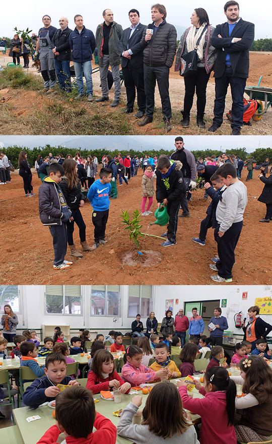 El Ayuntamiento de Nules inaugura la Festa Clemenules