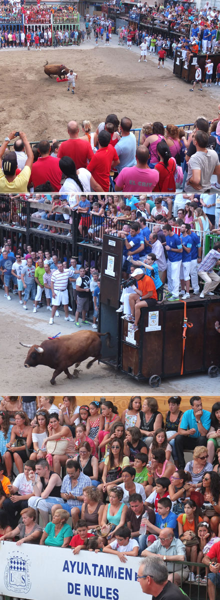 Castellón, Nules 2013