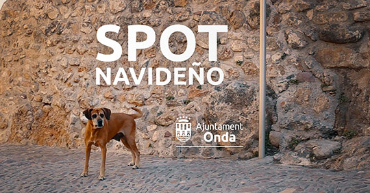 El vídeo de Navidad del Ayuntamiento de Onda se convierte en viral y consigue repercusión nacional sobre la adopción de animales