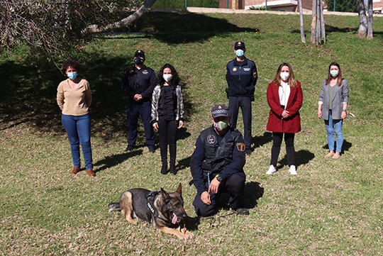 Onda ofrece un pionero servicio de terapia a víctimas de violencia de género con la ayuda de perros