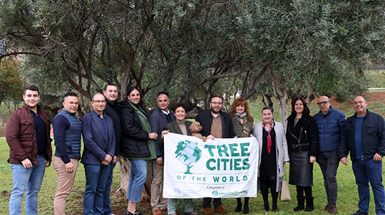 Naciones Unidas revalida el título a Onda como Ciudad Mundial del Árbol por su estrategia verde