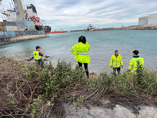 PortCastelló y la UPV colaboran en un proyecto de I+D para validar nuevos materiales en entornos marinos