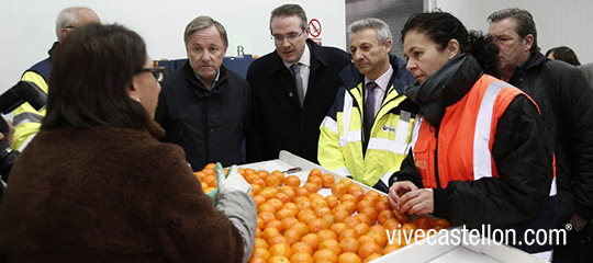 2.500 toneladas de clementinas con destino a EEUU desde PortCastelló