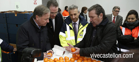 2.500 toneladas de clementinas con destino a EEUU desde PortCastelló