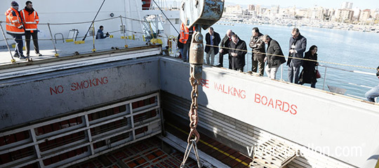 2.500 toneladas de clementinas con destino a EEUU desde PortCastelló 2.500 toneladas de clementinas con destino a EEUU desde PortCastelló