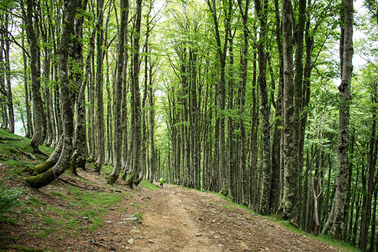 Camino de Santiago: la nueva aventura de viajes Alma Libre y Raquel Muñoz