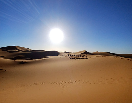 VIAJES ALMA LIBRE empieza el nuevo año con una nueva aventura personal y cultural en el Sáhara del 17 al 22 de ma
