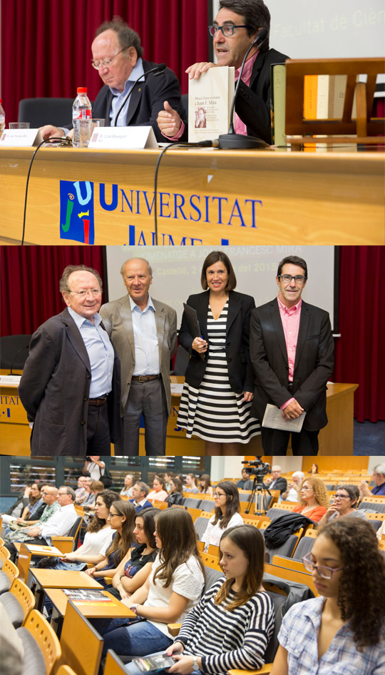 Castellón, Universitat Jaume I, UJI