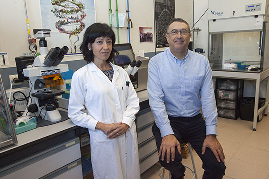 La UJI patenta nuevos compuestos anticancerígenos de baja toxicidad 