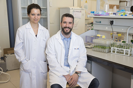 La UJI analiza el impacto del cambio climático sobre los cítricos La UJI analiza el impacto del cambio climático sobre los cítricos