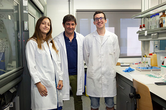 Patentan un nuevo procedimiento de producción eficiente, almacenamiento y transporte seguro de hidrógeno