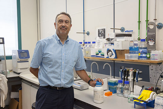 Una investigación de la UJI desarrolla un derivado de la colchicina que reduce la toxicidad del fármaco manteniendo su efectividad para combatir el cáncer