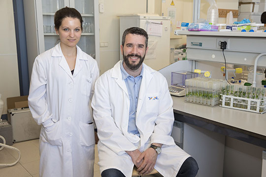 Investigadores de la UJI identifican genes de cítricos que la biotecnología podría mejorar para hacer frente al cambio climático Investigadores de la UJI identifican genes de cítricos que la biotecnología podría mejorar para hacer frente al cambio climático