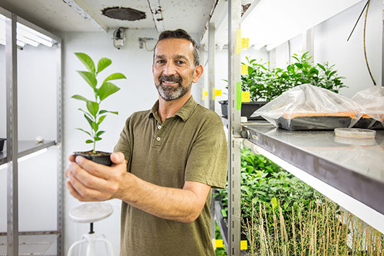 La UJI contribuirá al diseño de modelos de gestión integrada de plagas en escenarios de cambio climático