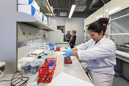 La Comisión Europea concede a la Universitat Jaume I el sello de excelencia de recursos humanos en investigación La Comisión Europea concede a la Universitat Jaume I el sello de excelencia de recursos humanos en investigación