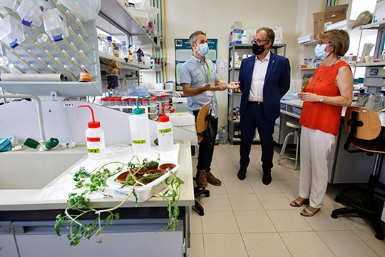 UJI y Diputación suman esfuerzos en un proyecto de investigación internacional para combatir plagas y enfermedades en cultivos mediterráneos con microorganismos beneficiosos