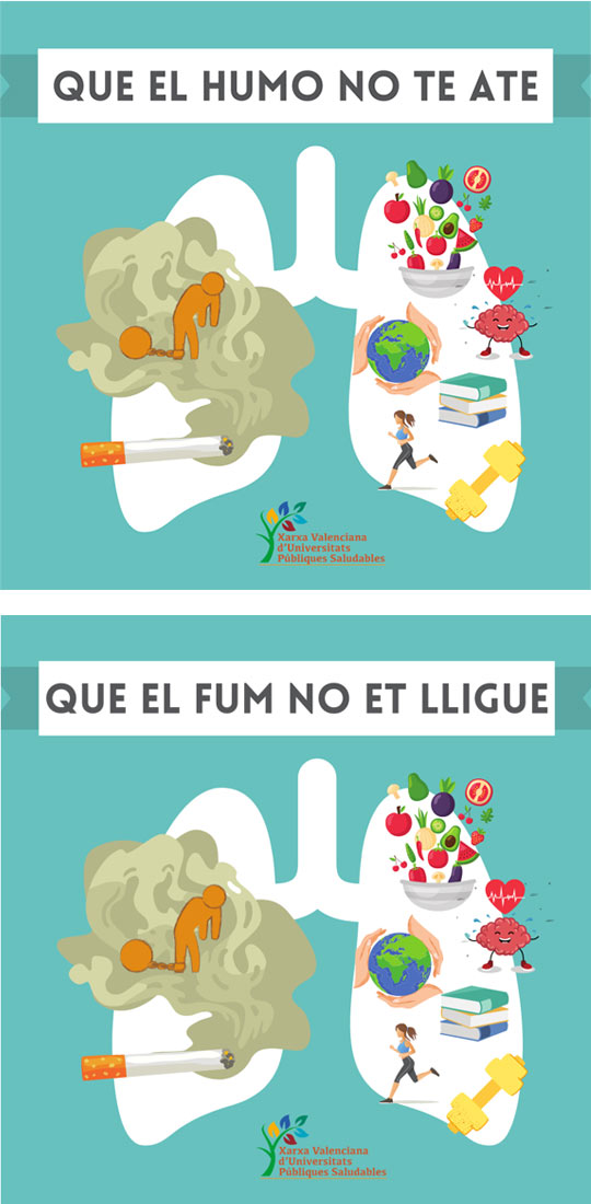 vivecastellon.com