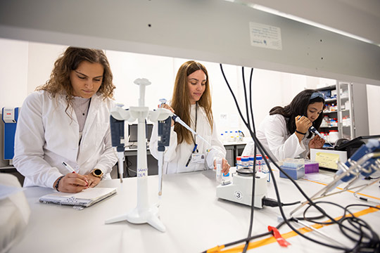 Una docena de grupos de la UJI contribuyen desde diversos ámbitos a la investigación sobre el Alzheimer Una docena de grupos de la UJI contribuyen desde diversos ámbitos a la investigación sobre el Alzheimer
