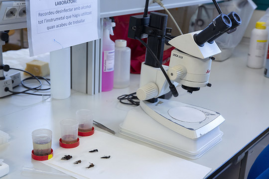 La UJI refuerza la consolidación de su actividad investigadora a través de su Plan de promoción de la investigación para 2023 La UJI refuerza la consolidación de su actividad investigadora a través de su Plan de promoción de la investigación para 2023