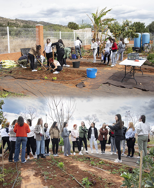 El proyecto Hort4Health de la UJI fomenta el aprendizaje sostenible y la salud mental entre la comunidad universitaria