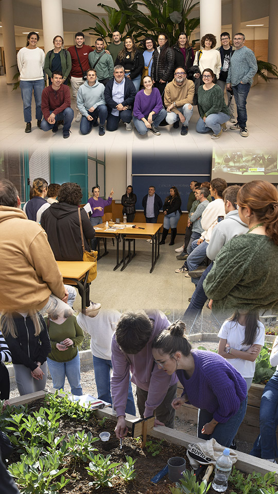 Medio centenar de equipos de secundaria de Castellón participan en el proyecto «Vigilantes del suelo» de la Fundación Ibercivis con la UJI como embajadora