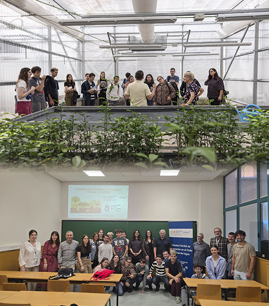 La Cátedra FACSA-UJI y la Fundación Síndrome de Down impulsan un programa formativo para mejorar la empleabilidad de personas con discapacidad intelectual