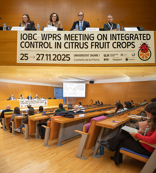 La IOBC-WPRS reúne en Castellón a investigadores en control biológico y sanidad citrícola 