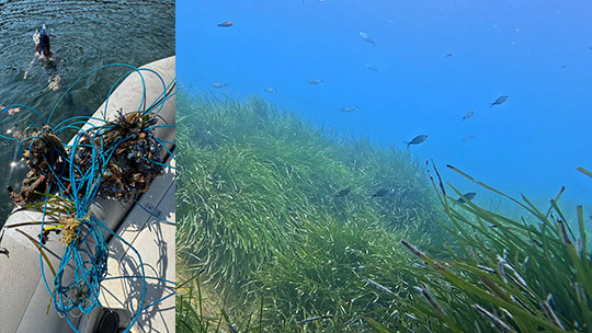 La nueva edición de MarPITIUS_26 amplía zonas de estudio y las líneas de investigación sobre contaminación marina en Ibiza