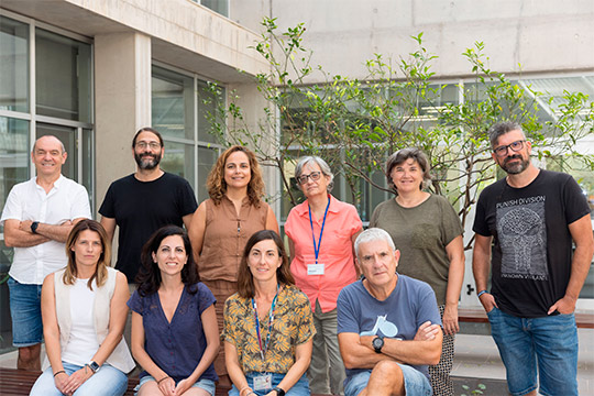 El Instituto de Materiales Avanzados de la UJI obtiene dos proyectos Prometeo para conseguir nuevos materiales quirales y una nueva generación de catalizadores que simulan enzimas
