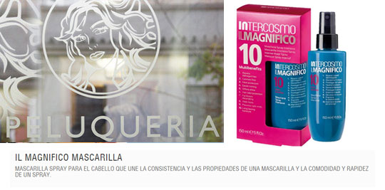 Castellón, Venus peluquería. Castellón, Venus peluquería.