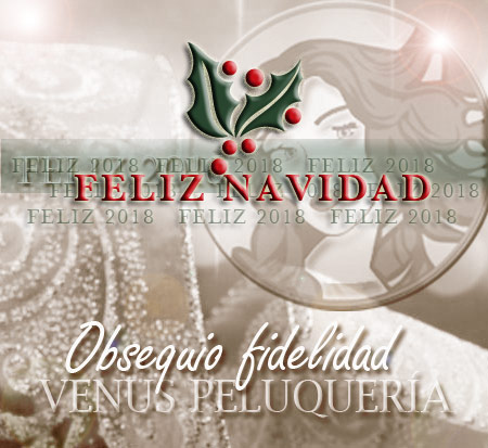 castellon peluqueria venus