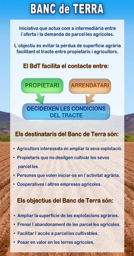El Ayuntamiento l’Alcora fomenta la actividad agraria con la puesta en marcha del Banco de Tierras