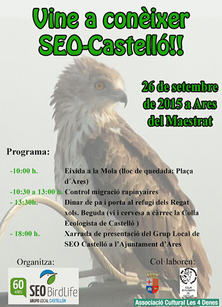 Seo Bird Life organiza una jornada para controlar la migración de rapaces en Ares del Maestrat Seo Bird Life organiza una jornada para controlar la migración de rapaces en Ares del Maestrat