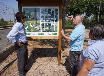 El Ayuntamiento de Castellón instala en el Camí Fondo un nuevo panel explicativo de la fauna y flora de la zona El Ayuntamiento de Castellón instala en el Camí Fondo un nuevo panel explicativo de la fauna y flora de la zona