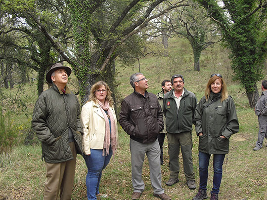 Benassal y la Fundació Comunitat Valenciana per al Medi Natural ponen en valor el paraje del Rivet