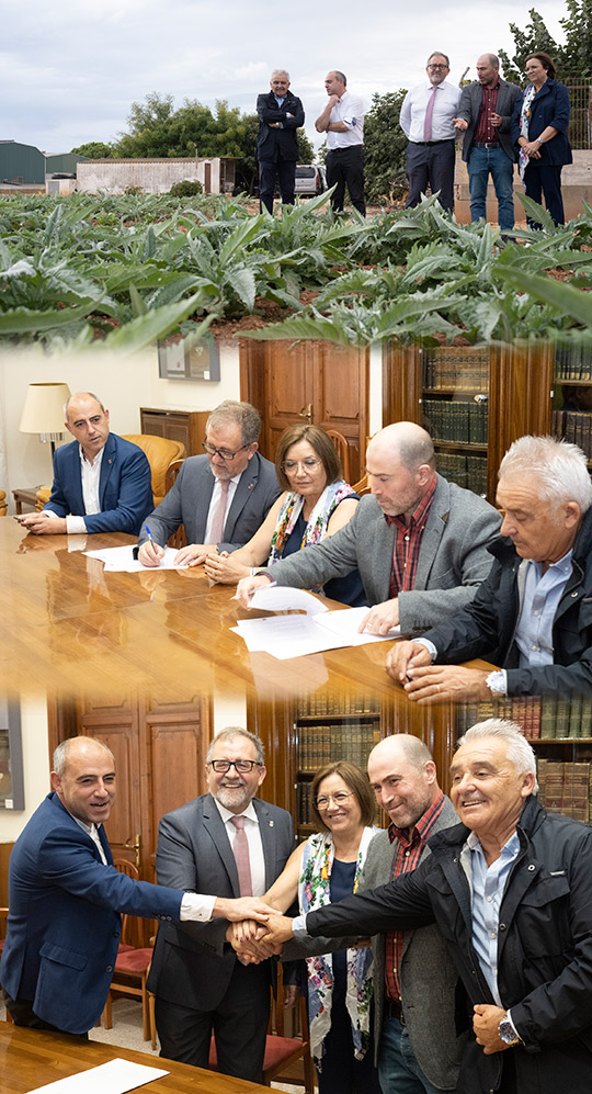 La Diputación de Castellón refuerza su apoyo a la calidad de la Carxofa de Benicarló y apuesta por  potenciar la unión de sector primario y gastronomía