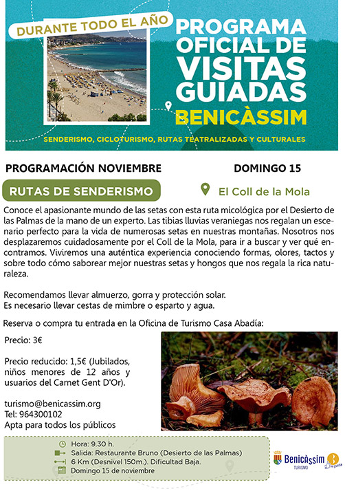 Senderismo por la ruta micológica del Desierto de las Palmas 