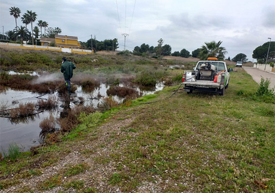 Benicàssim intensifica el tratamiento contra los mosquitos en el Cuadro de Santiago