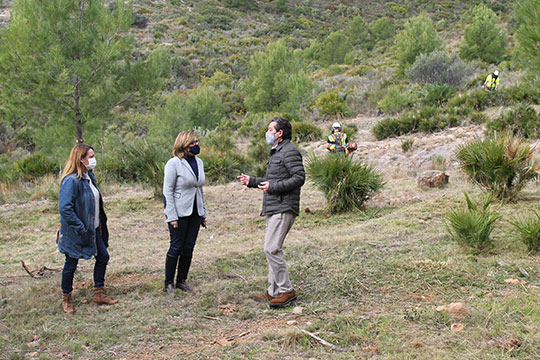 Benicàssim actúa en las urbanizaciones de montaña para la prevención de incendios forestales Benicàssim actúa en las urbanizaciones de montaña para la prevención de incendios forestales