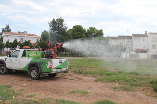 El Ayuntamiento de Benicàssim refuerza las actuaciones frente a la aparición de mosquitos