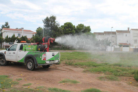 Benicàssim solicita a la Diputación actuaciones urgentes de desbroce para prevenir la proliferación de mosquitos