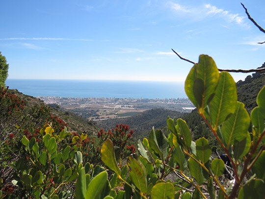 Disfrutar, sentir y saborear Benicàssim: la atractiva oferta turística de escapadas en primavera