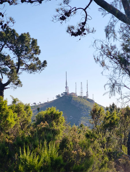 Benicàssim cuenta con 10 senderos para poder disfrutar de la biodiversidad del término municipal y sus privilegiadas vistas