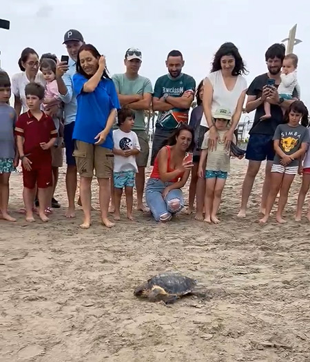 Benicàssim cierra su semana del Medio Ambiente con la suelta de una tortuga marina en una jornada familia al sur de la localidad