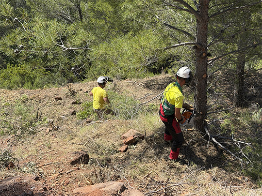 Benicàssim intensifica las actuaciones preventivas frente a incendios en las urbanizaciones de montaña 