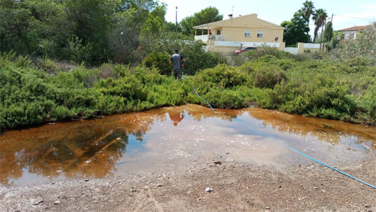Benicàssim intensifica el control de mosquitos tigre tras las lluvias recientes y ante el aumento previsto de temperaturas