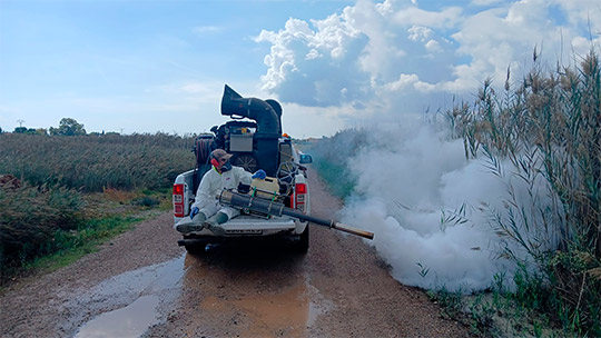 Benicàssim intensifica el control de mosquitos tras el episodio de lluvias