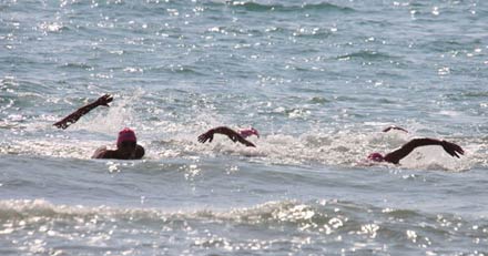 IV edición de la travesía a nado playas Benicàssim IV edición de la travesía a nado playas Benicàssim