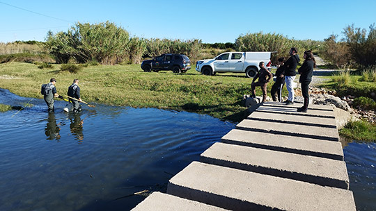 El Consorcio del Mijares colabora con la Universitat Jaume I en un estudio pionero sobre la presencia de contaminantes emergentes en la fauna del río El Consorcio del Mijares colabora con la Universitat Jaume I en un estudio pionero sobre la presencia de contaminantes emergentes en la fauna del río